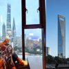 Wine column: Sky-high drinks in Shanghai