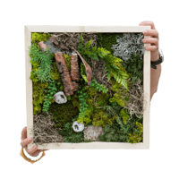 Moss Wall Art – May 24