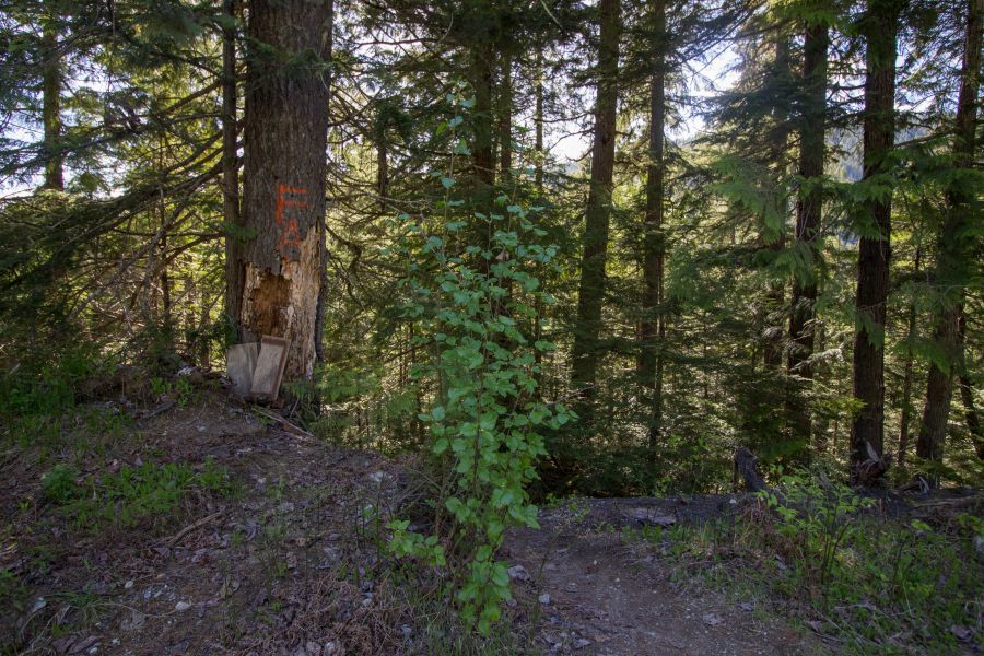 <who>Photo Credit: Kristy Draginda</who> Trailhead