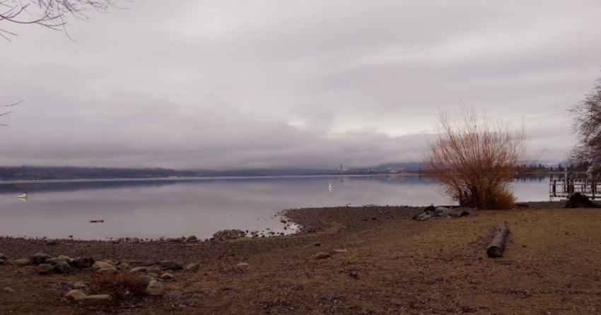 Kelowna weather: Wet, windy, high of 9ºC