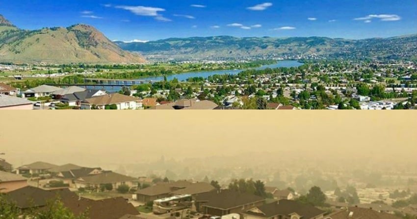 Discover the Hidden Truth About BC Fir Before It Explodes