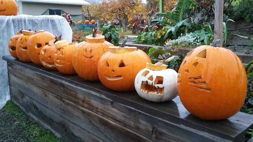 <who>Photo Credit: Open Door Group's Gardengate Horticulture Program</who>