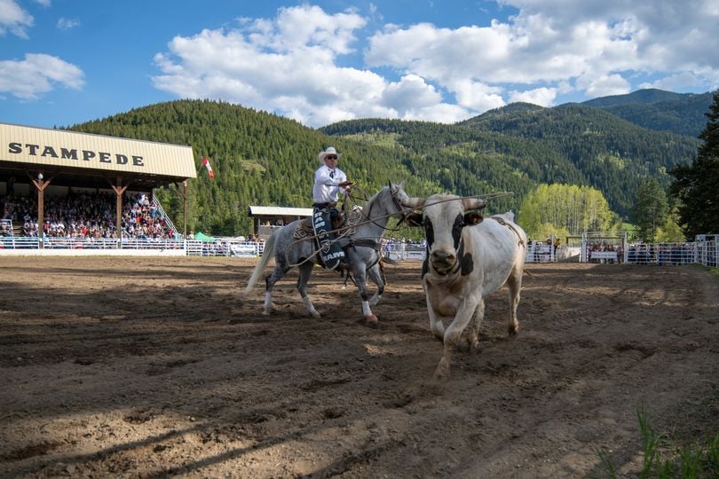 <who> Photo Credit: Paul Wright / Falkland Stampede Facebook 