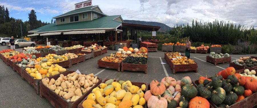 <who>Photo credit: Paynter's Fruit Market</who>
