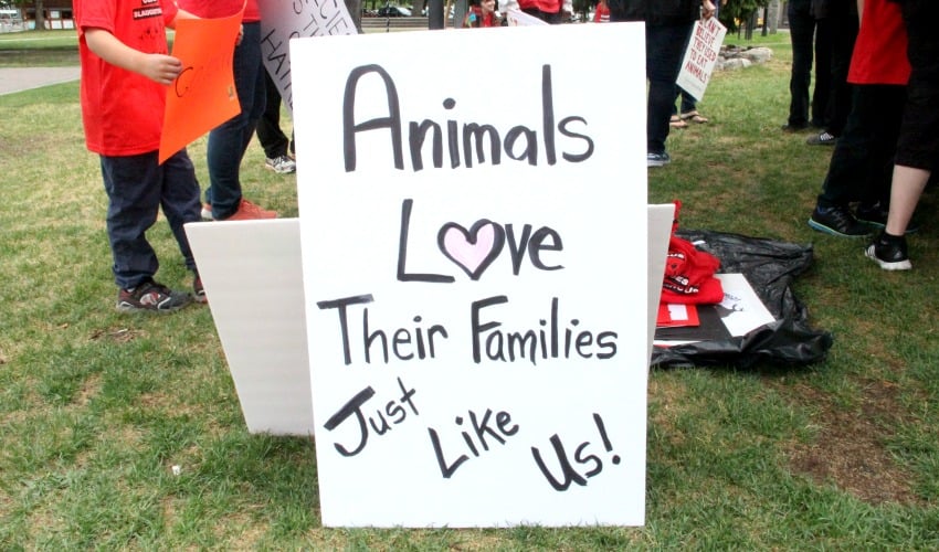 <who>Photo Credit: KelownaNow
