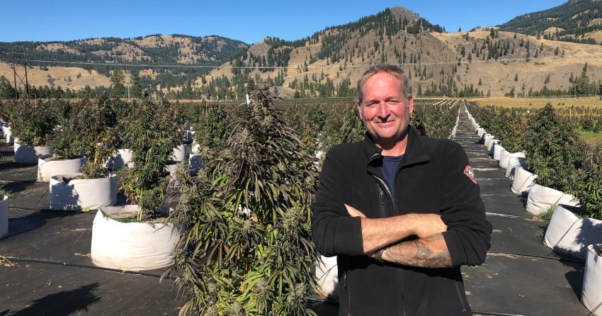 VIDEO: Kelowna orcharding family gets into cannabis in a big way