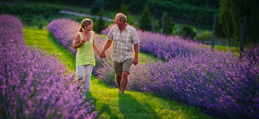 <who> Andrea and David McFadden of Okanagan Lavender and Herb Farm