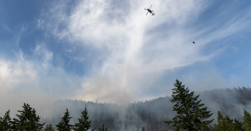 BC Forest Practices Board says forestry changes could reduce wildfire risk