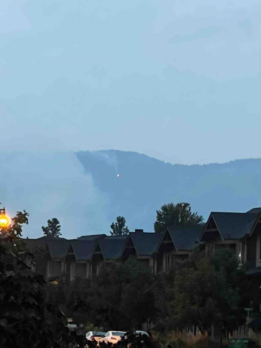 <who>Photo Credit: Contributed</who>A lone catches fire to the north of the McDougall Creek wildfire Tuesday night, as seen from Lake Country.
