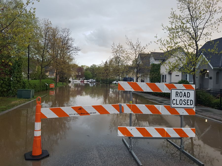 Photo credit - Trisa Brandt - Marshall St and Rowcliffe Ave around 7 pm on May 5, 2017