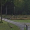 Woman dead, man in critical condition after vehicle hit by train in BC
