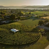 Yoga, Sound Healing in the labyrinth in the middle of the vineyard, at Sperling Winery!!
