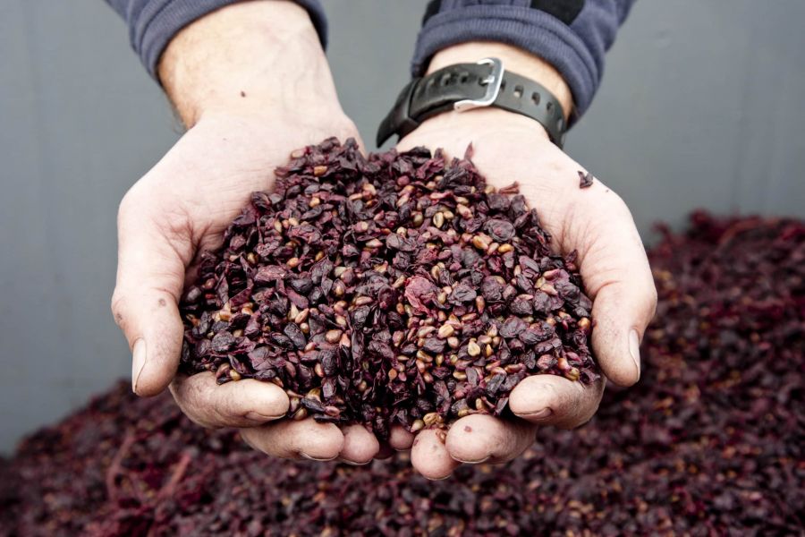 </who>The grape skins and seeds leftover after the winemaking process was previously considered waste, but can now be made into a valuable natural food additive.
