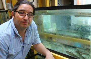 <who> UVic </who> Francis Juanes is heading up the $935,000 research project.