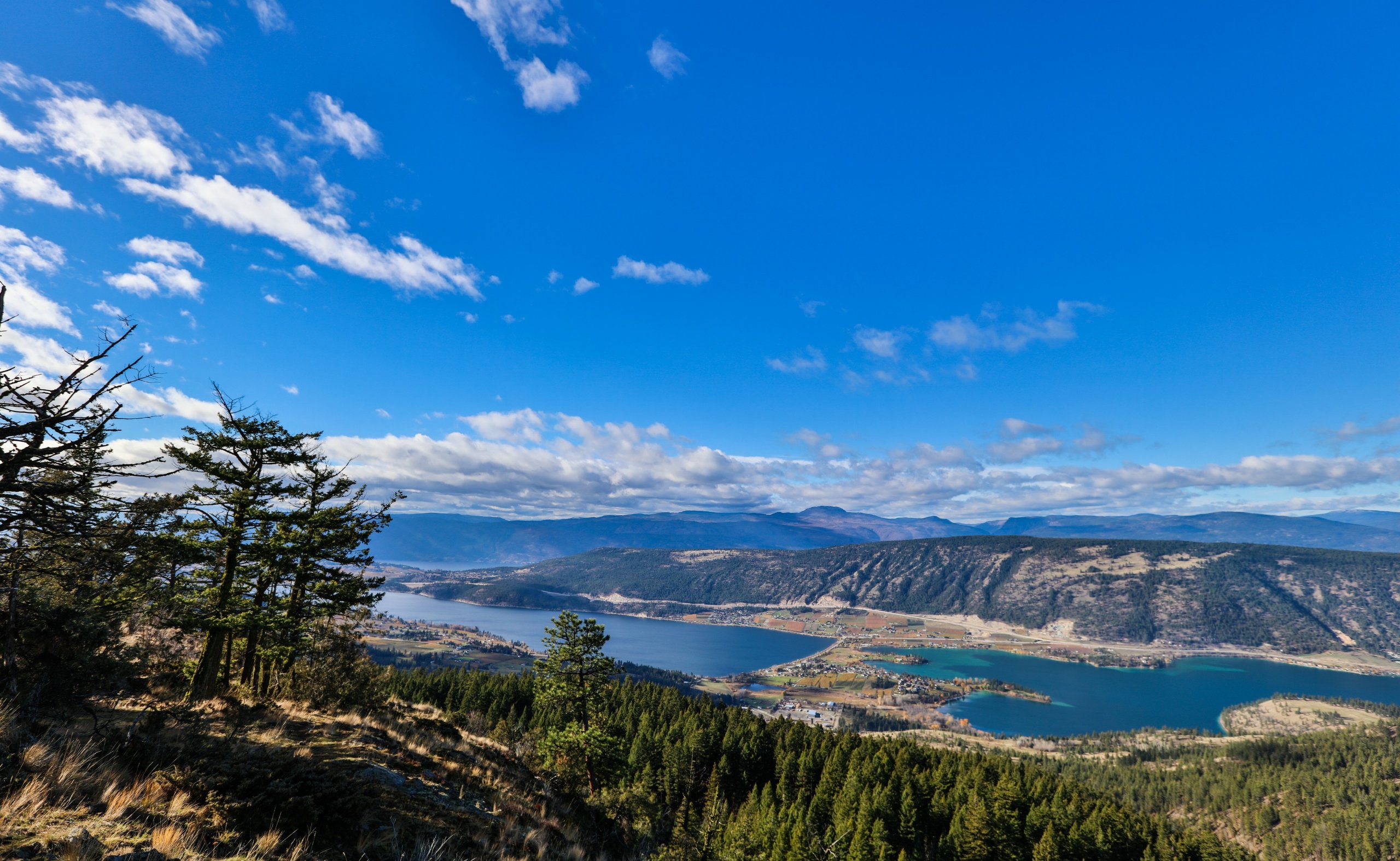 Closed – Contest Alert! An aerial adventure in Kelowna for three
