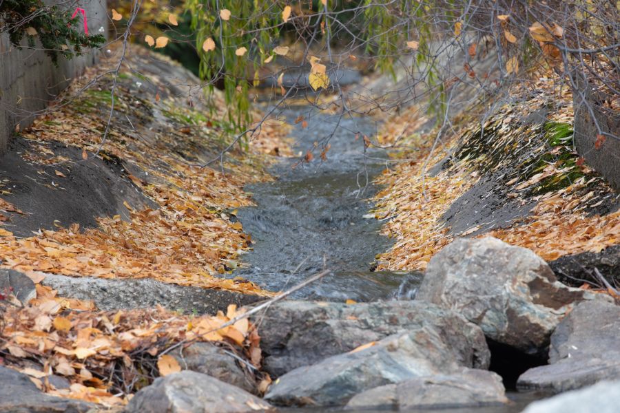 <who>Photo Credit: NowMedia/Gord Goble</who> The downstream end of the flume