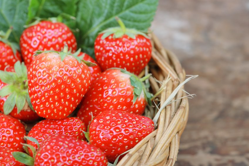 The Saanich Strawberry Festival is returning this weekend