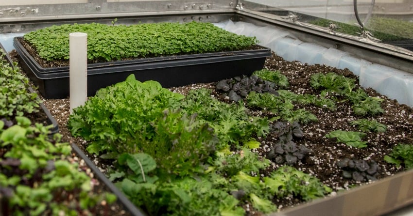 <who>Photo Credit: CNC</who>