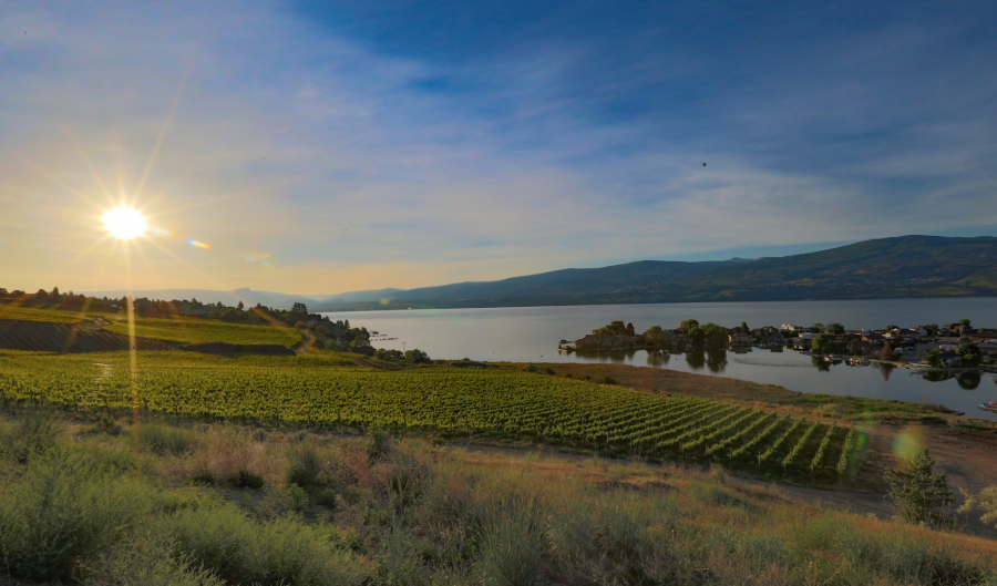 West Kelowna this morning at 6 am