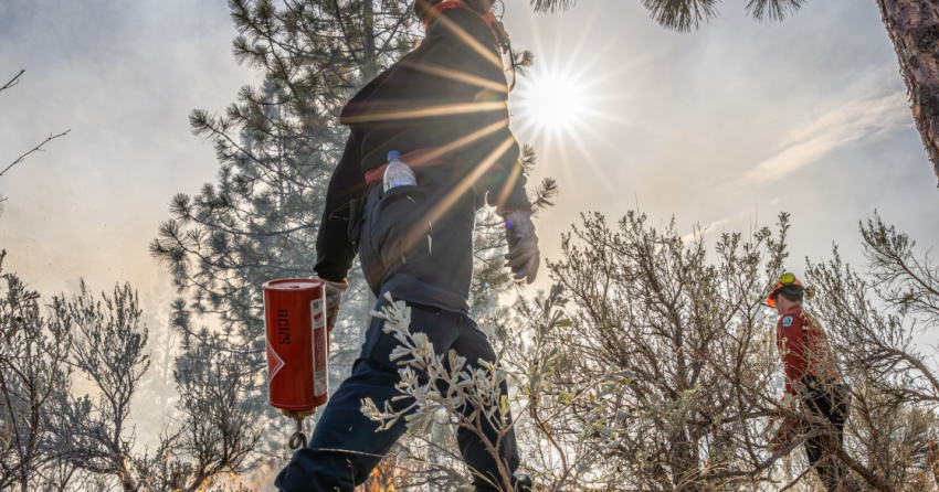 BC man successfully appeals Ministry of Forests fine over 11.5 ha fire