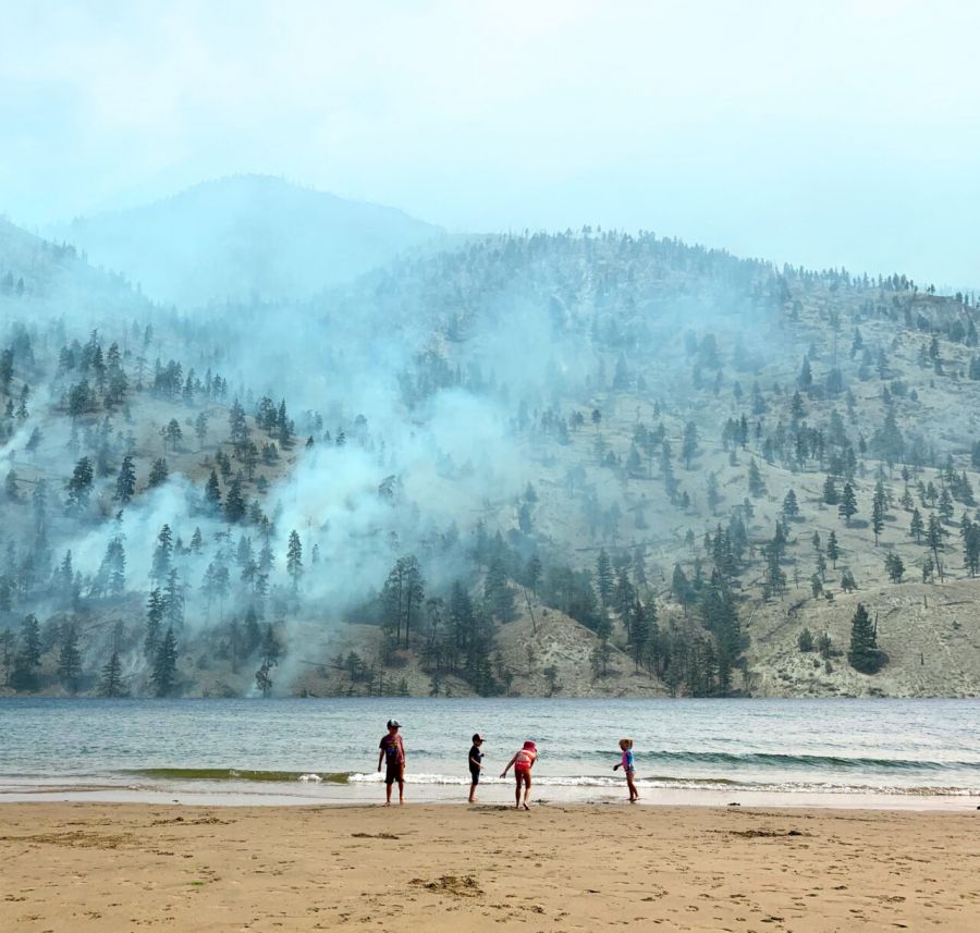 Trying to make sense of wildfires through art