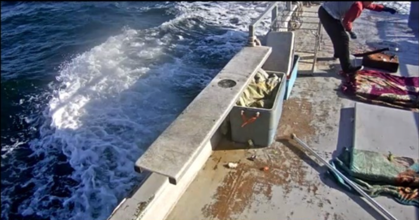 <who> Photo Credit: DFO </who> "Images presented as evidence from data recorded on the CFV MARINE HUNTER. Deckhand baiting hooks for a long line; the vessel was only licensed to fish crab by trap or pot."