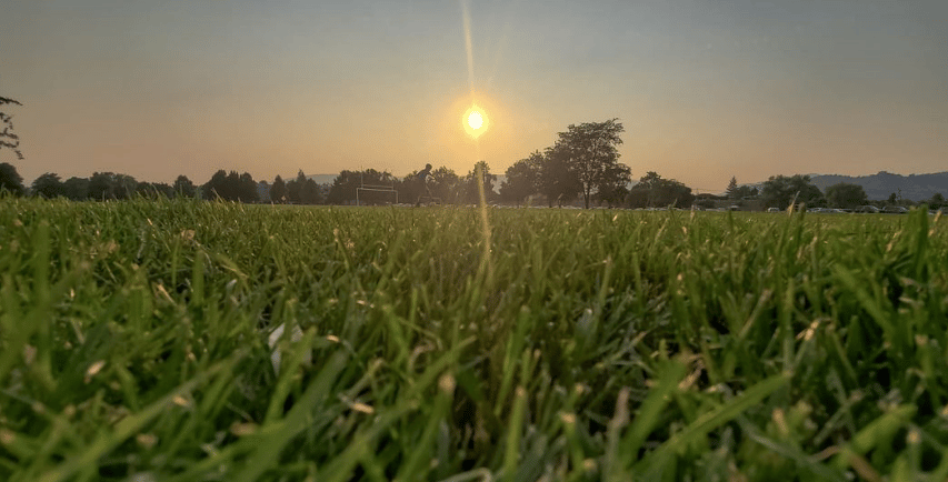 PHOTOS: More picturesque sunset shots from the Okanagan