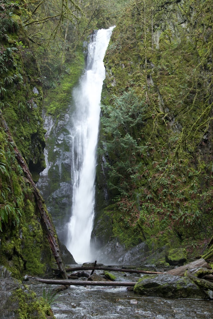 Niagara Falls located in Goldstream Provincial Park. Massive trees, majestic waterfalls, and a meandering river that meets the sea are just some of the attractions that draw people to this famous park, a mere 16 km from downtown Victoria on southern Vancouver Island.