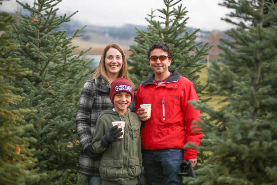 Kelowna Christmas tree farm opens for the season