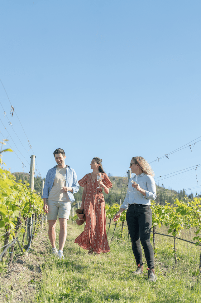 Stroll Through the Vineyard in this Barrel tasting experience