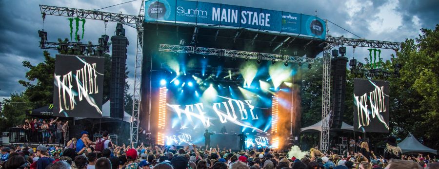 Ice Cube's Crowd
