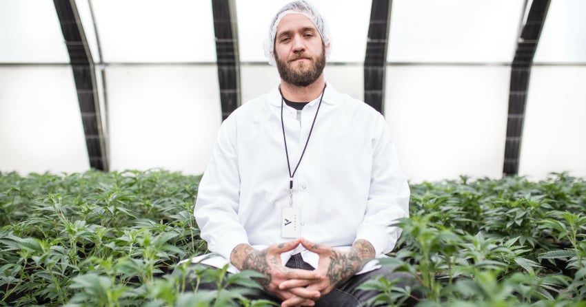Legalization of Cannabis so far