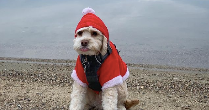 PHOTOS: A look back at Christmas in the Thompson-Okanagan