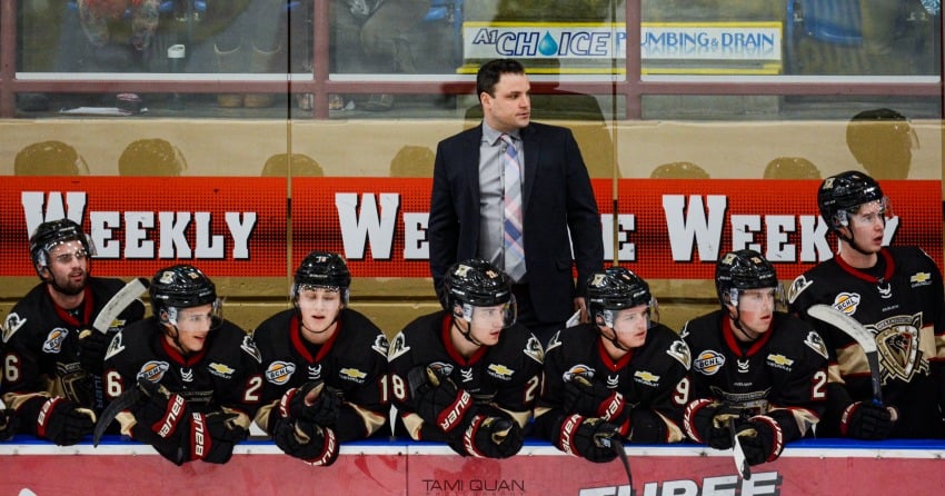 Warriors appear solid again after years of struggles on and off the ice