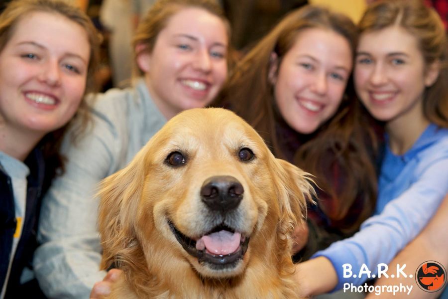 <who> Photo Credit: B.A.R.K.'s Facebook </who> B.A.R.K. has quickly become the most popular stress relief program on the campus.