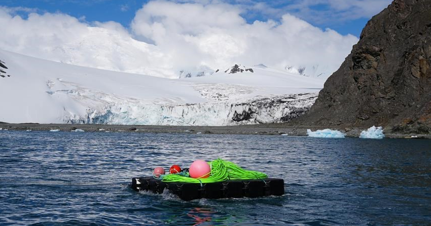 Canadian-built underwater observatory transmitting data from around ...