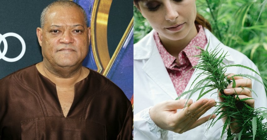 Former Matrix star to feature Kelowna cannabis company on national TV series