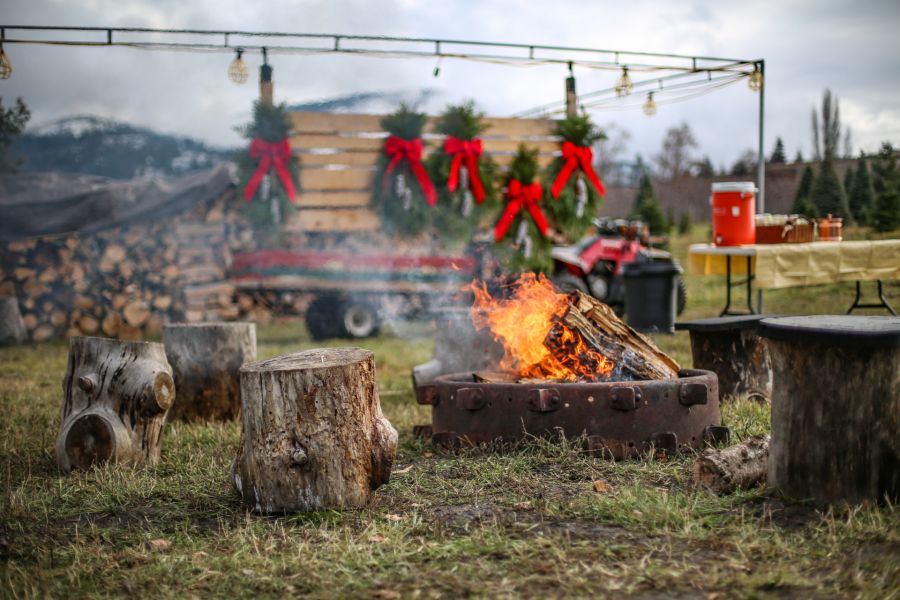 Kelowna Christmas tree farm opens for the season