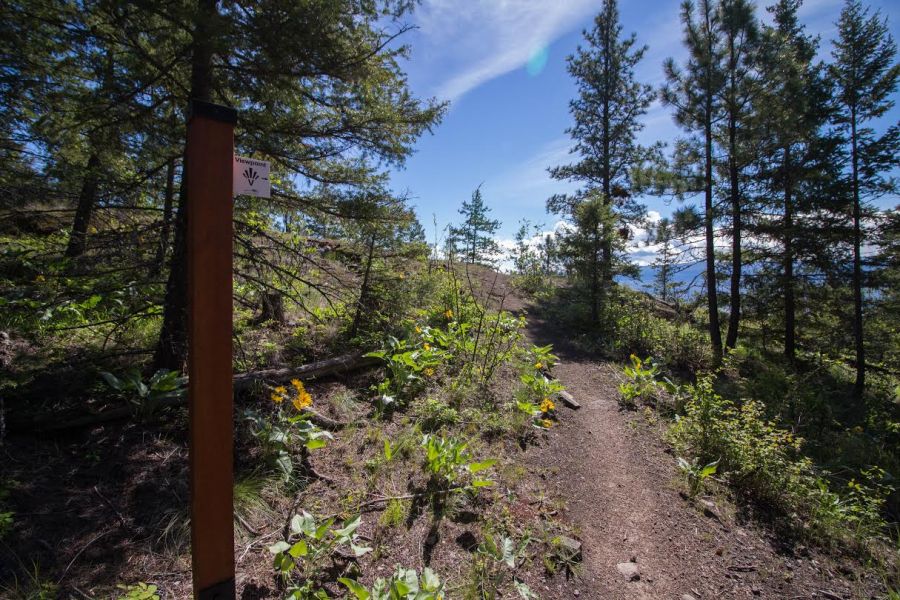 Endless trails with endless views in Rose Valley Regional Park!