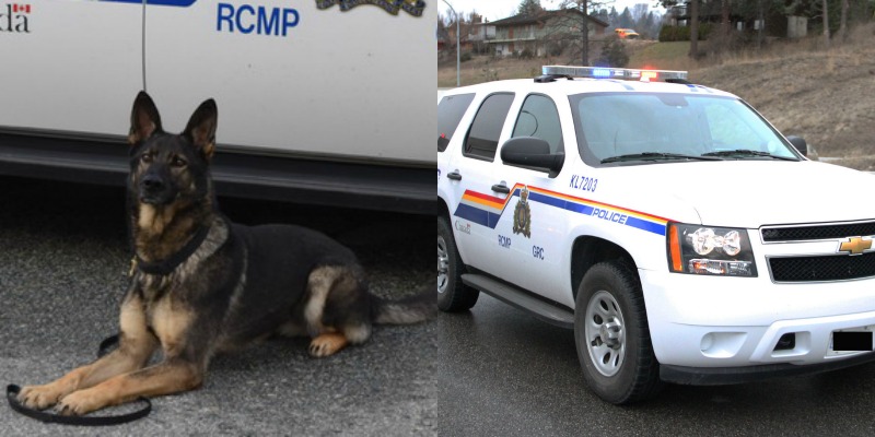 RCMP seek to identify combative shoplifter in Kelowna