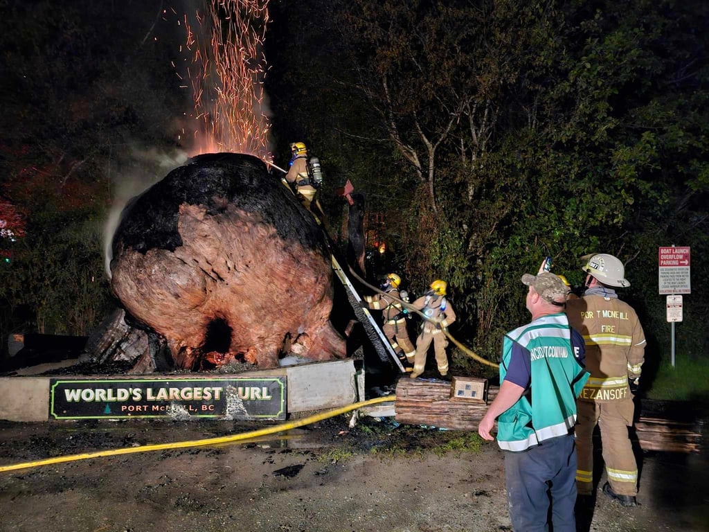 2 suspects identified and arrested for setting world’s largest tree ...