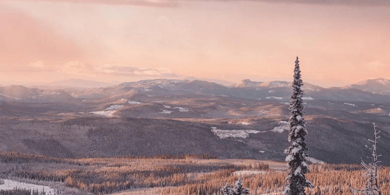 PHOTOS: Whimsical wintery days in Kelowna