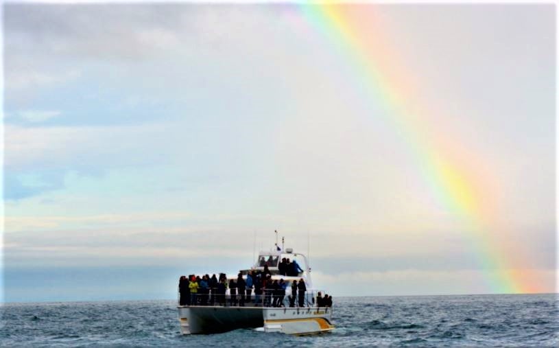 </who>Victoria and the Cowichan Valley were ranked No. 5. Pictured here is an Eagle Wine Tours' whale watching excursion in the Strait of Georgia near Victoria.