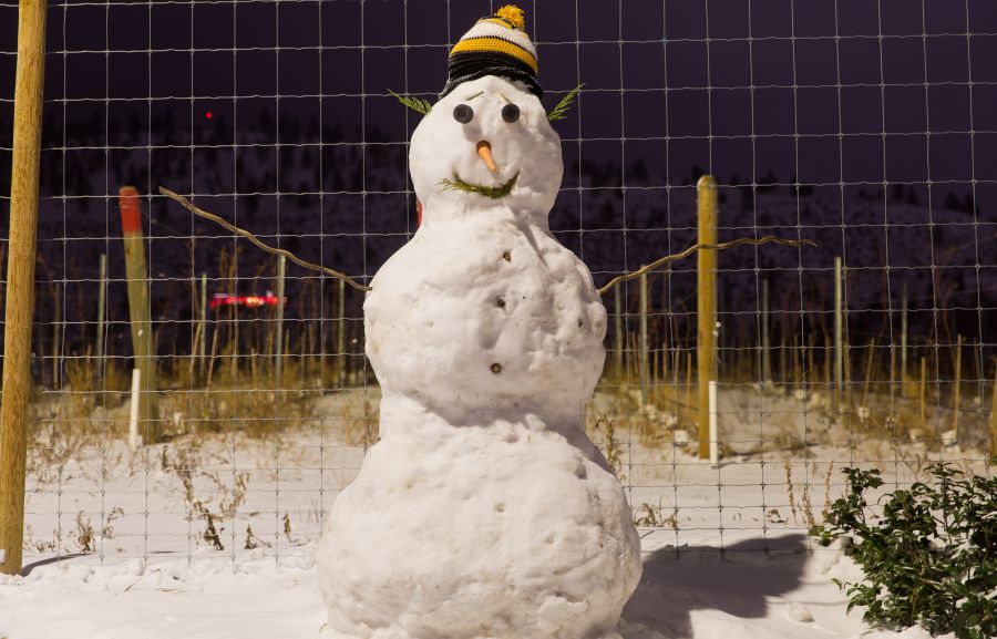 <who>Photo Credit: NowMedia</who> Random Christmas Eve snowman