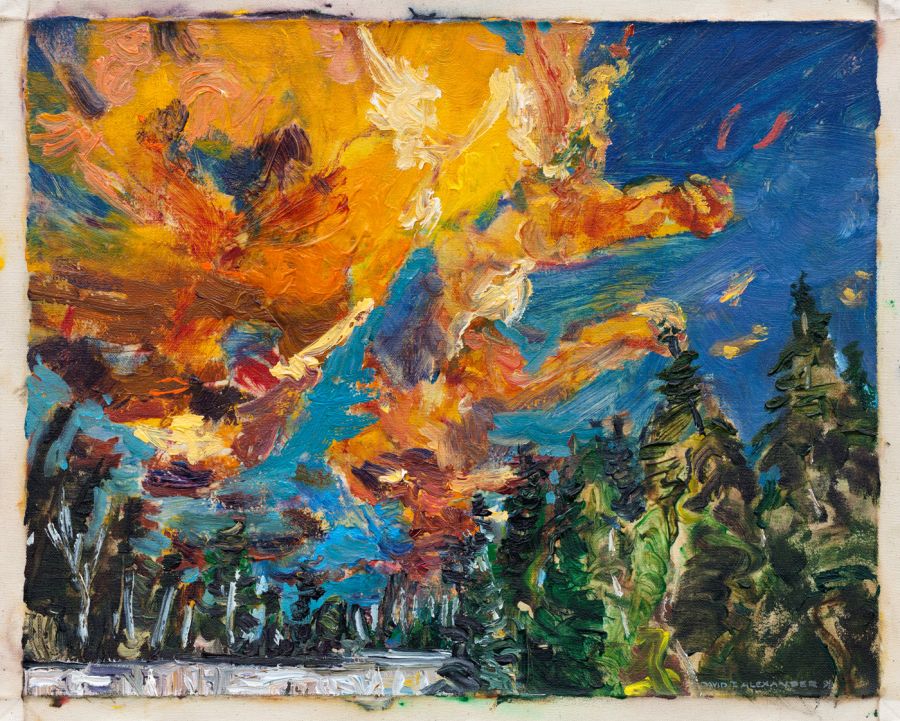<who>Photo Credit: Kelowna Art Gallery</who>David Alexander, Face Lift, Emma Lake, 1992, acrylic on canvas, 15 7/8 x 20 in. Gift of the artist, 2007