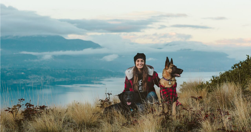 Bark the Halls is back to ensure all animals have a happy holiday season