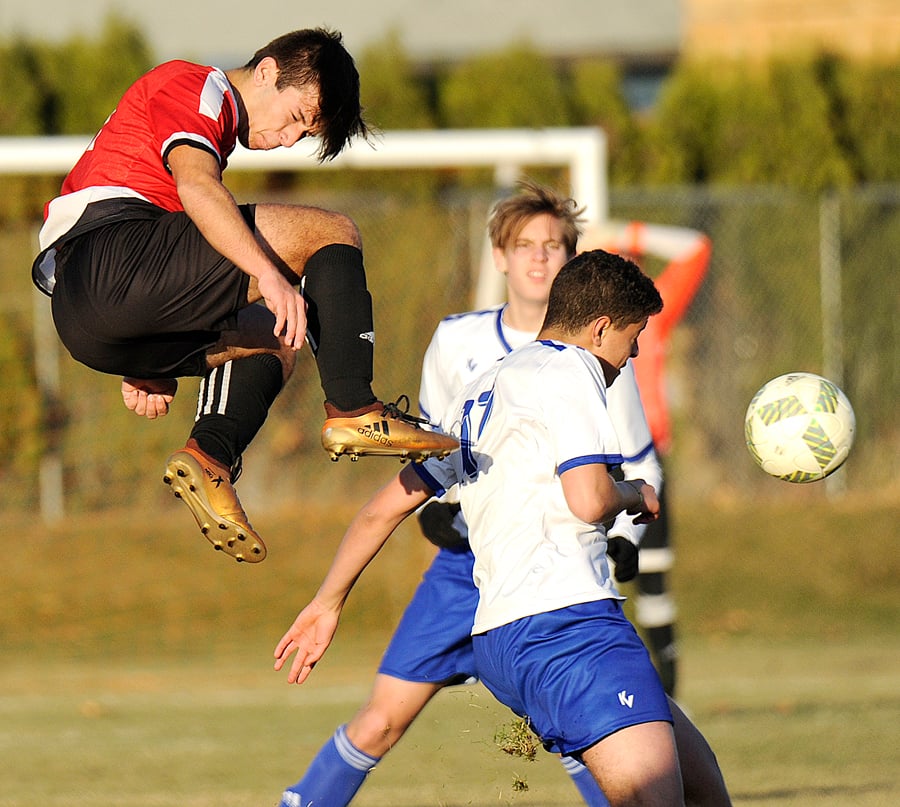 The Bears' Nemanja Vracarevic heads the ball to a teammate in front of Voodoos' Adam Moutti.