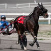 Harness racer dies in ‘multi-horse collision’ at Okanagan racetrack