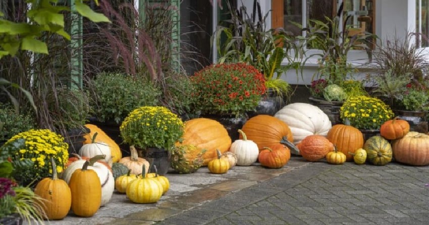 Butchart Gardens to start Autumn display this weekend