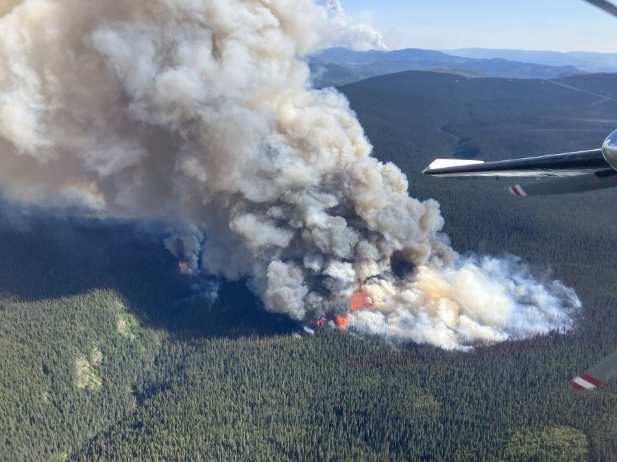 The Peacock Creek wildfire near Houston, BC, is one of many that has sparked this week.